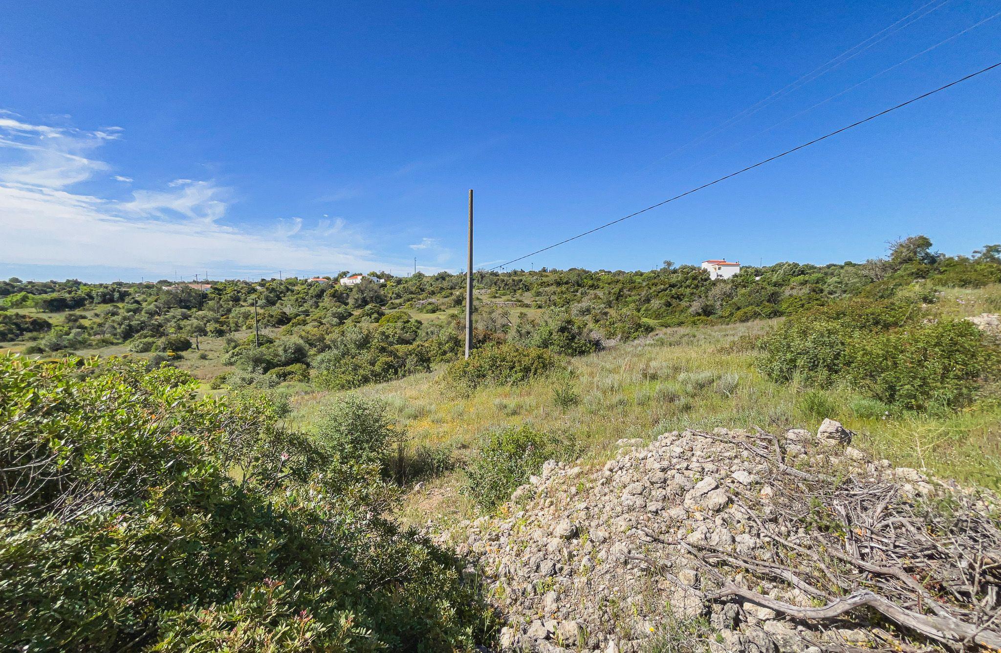 Fotografia 11 de Terreno rústico com 15.830 m² localizado na prestigiada zona da Torre, em Armação de Pêra.