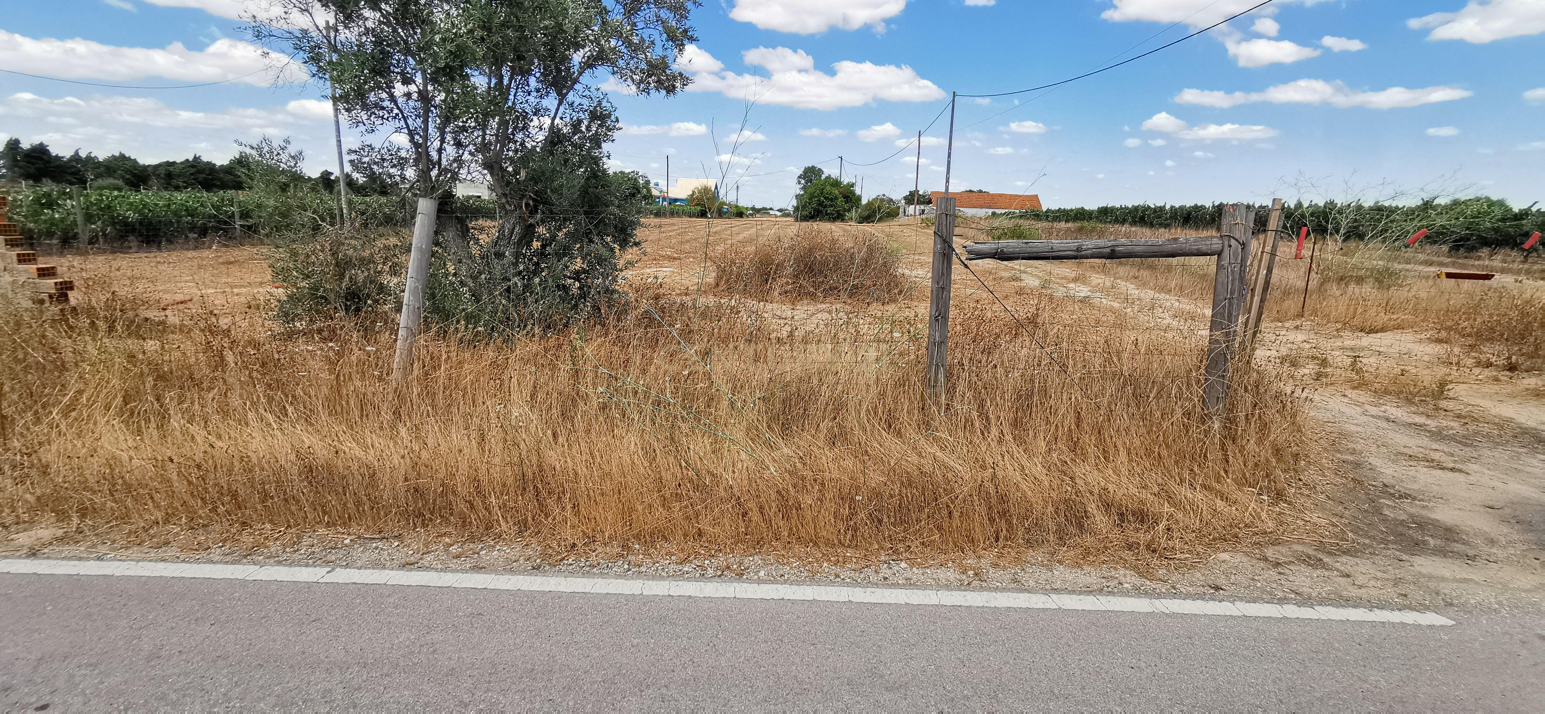 Fotografia 8 de Terreno com projeto aprovado em Palmela com Vista Panorâmica - Lau