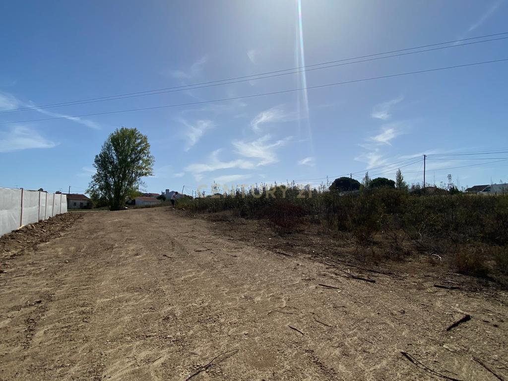 Terreno para construção com 805 m² | Linhaceira – Tomar - Image 14