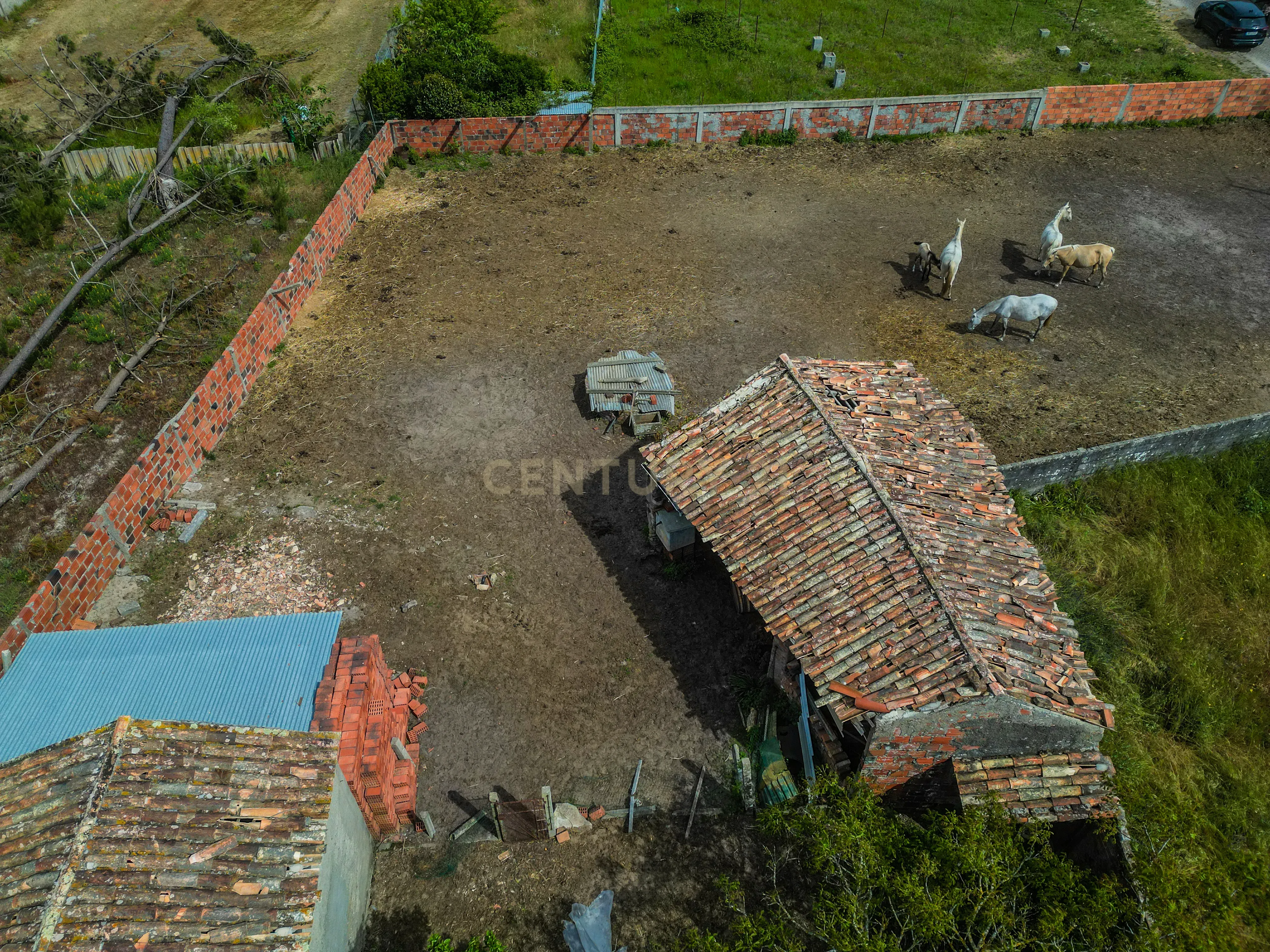 Fotografia 11 de Moradia Rústica para reabilitar em Vieira de Leiria, com terreno, a cerca de 5 minutos da Praia da Vieira