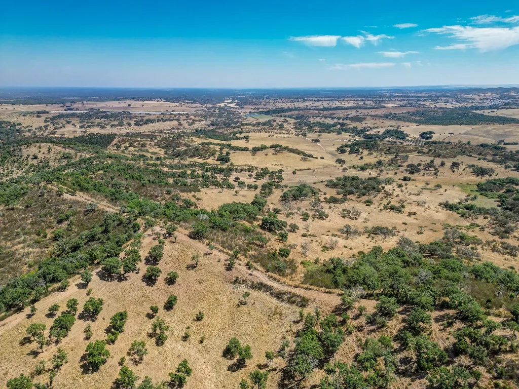 Herdade com 59,225 ha , 687m2 urbano, nascente de água, em Colos, Odemira - Image 14