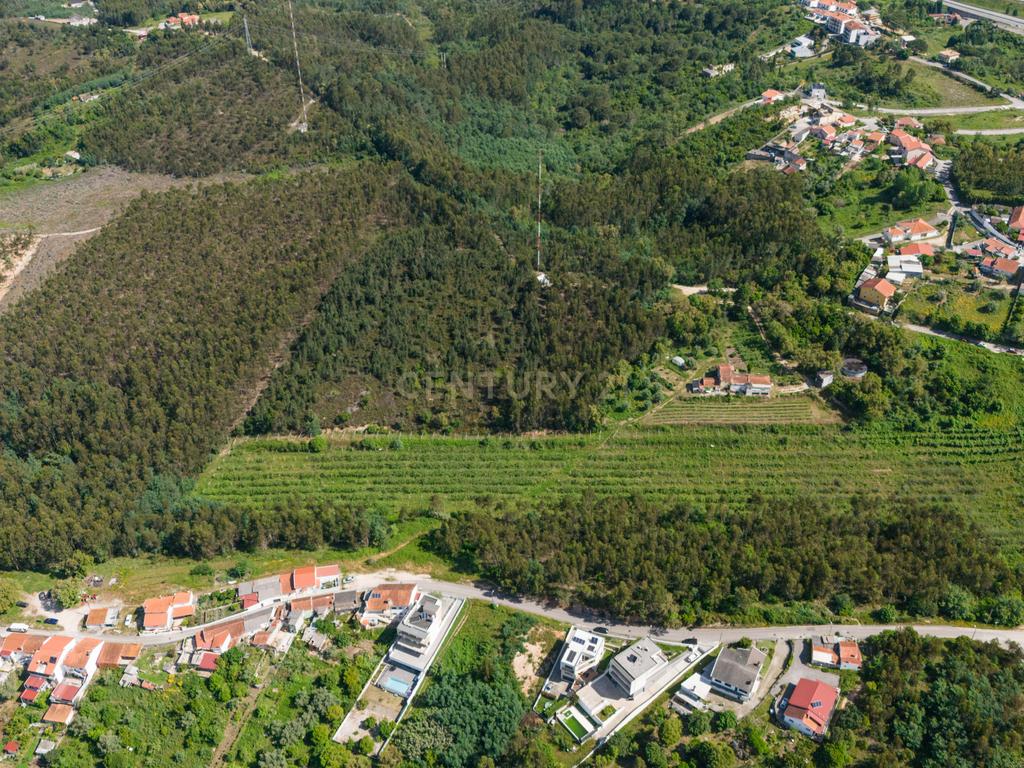 Quinta com 8 hectares com potencial para construção – Antanhol - Coimbra - Image 8