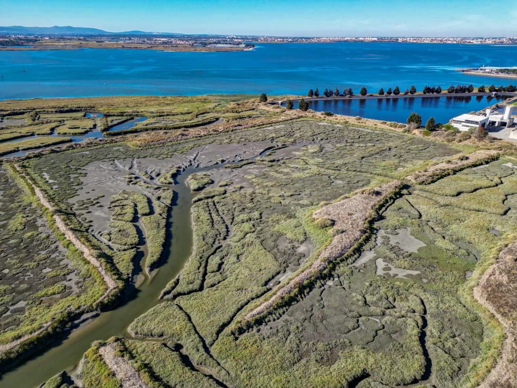 Terreno 20,18ha, Montijo - Seixalinho, para actividades de piscicultura e agricultura - Image 8