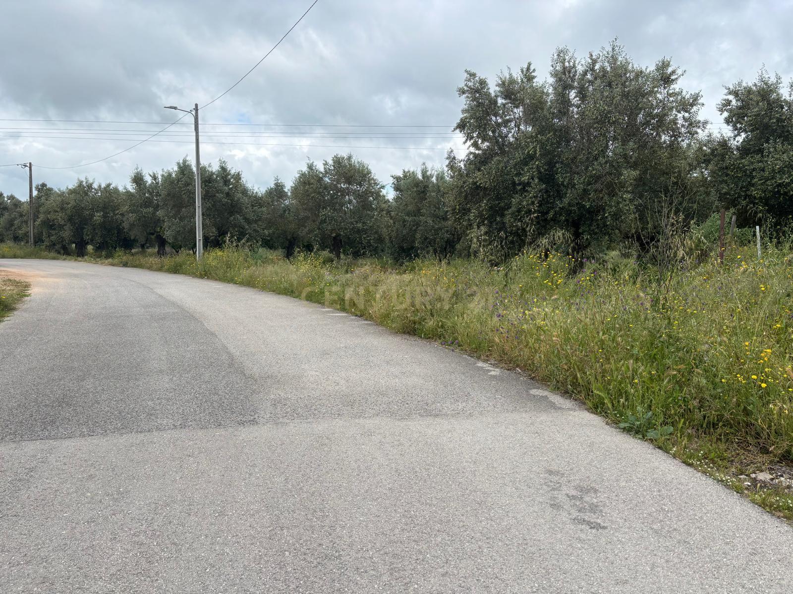 Land for sale in Torres Novas, Portugal — €77,000