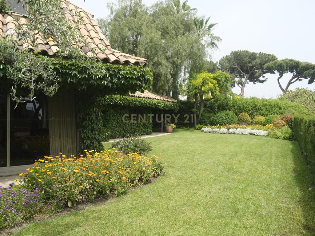  - Image 31
