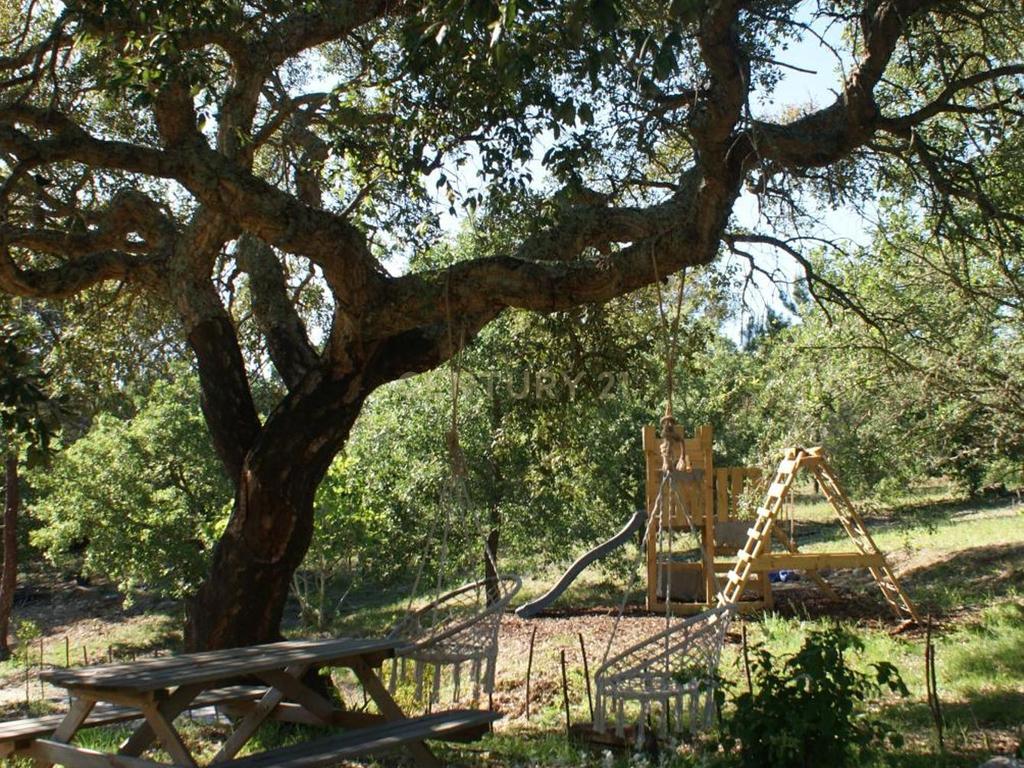 Quinta de Charme no Centro de Portugal – Natureza, Privacidade e Potencial Turístico em 2,9 Hectares - Image 12