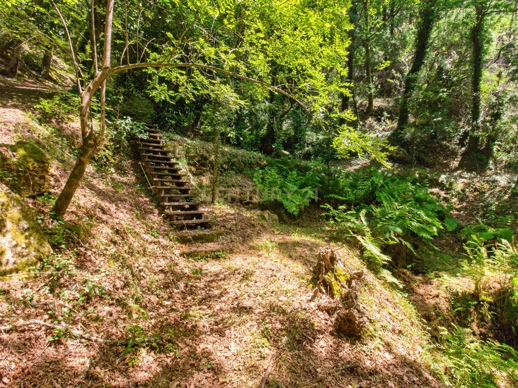 Duas Propriedades Únicas no Gerês com Acesso Direto ao Rio e Ancoradouro Privado - Image 35