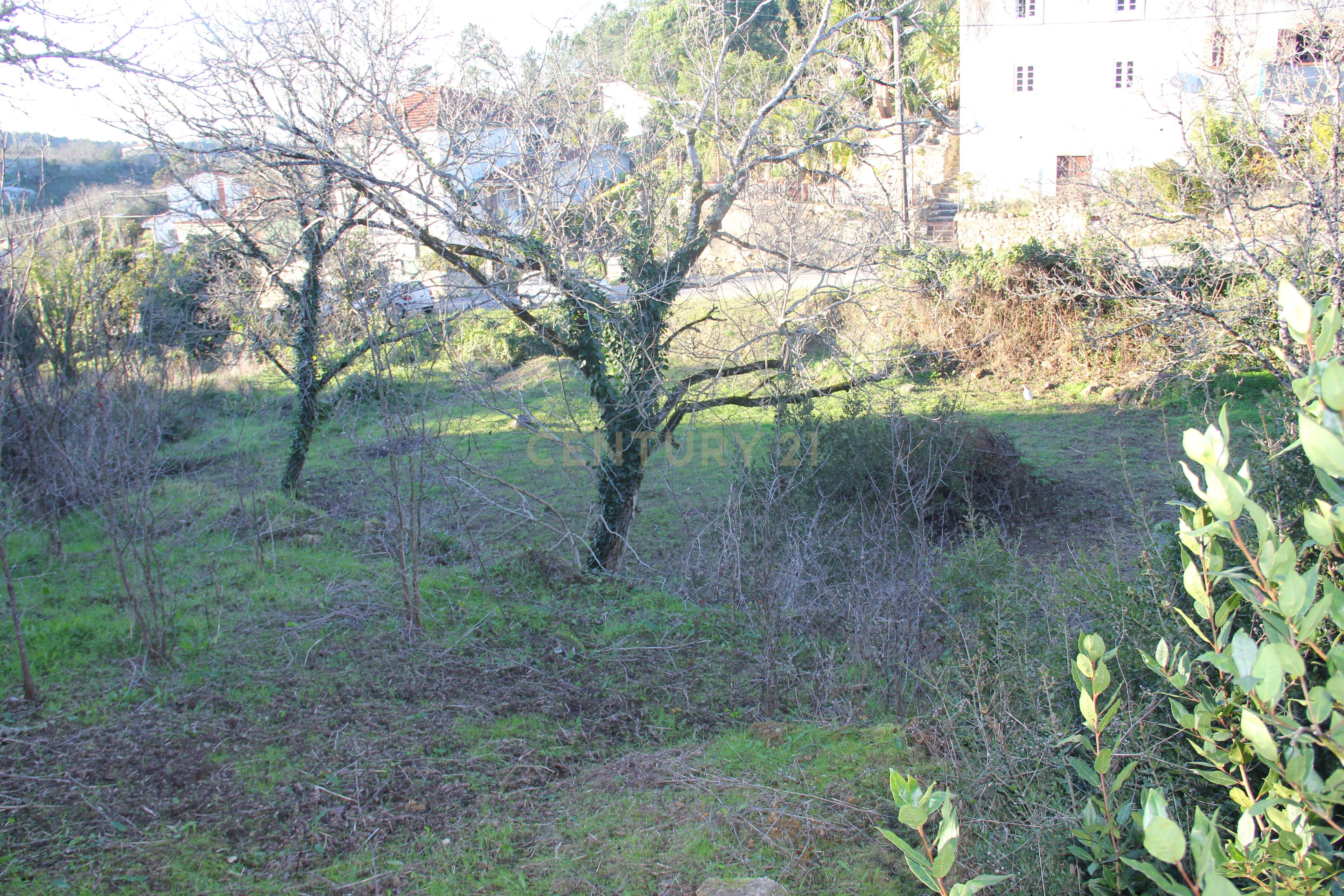 Fantástico terreno para moradia - Image 24