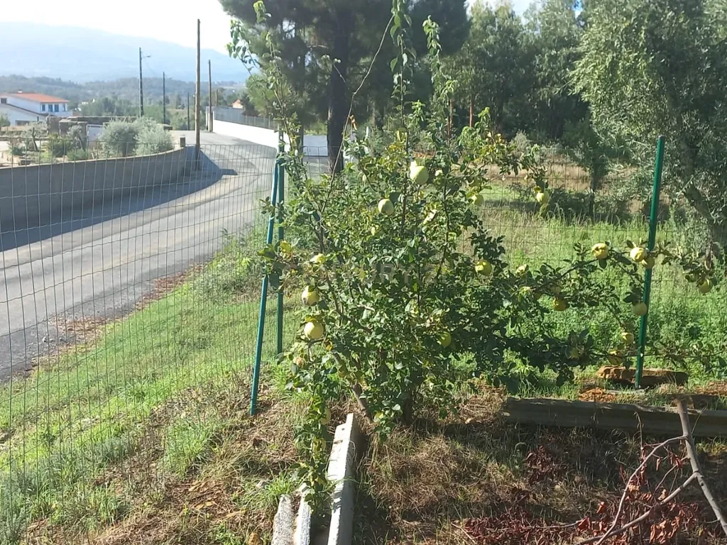 Encantadora Propriedade com construção e vista para Montanha - Image 1