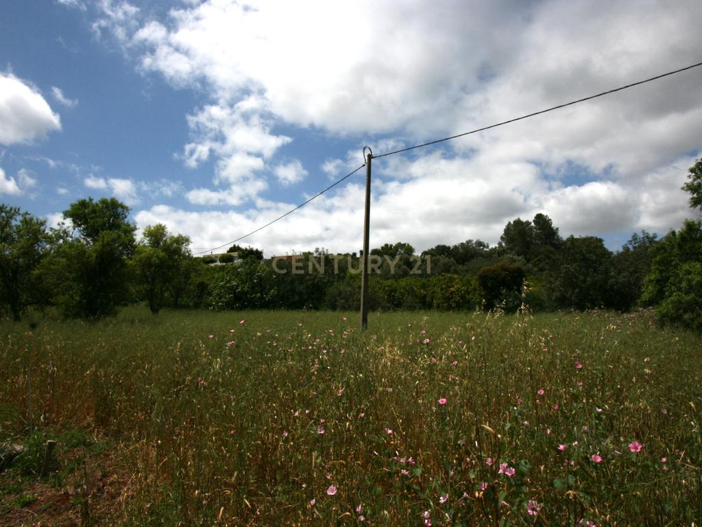 Propriedade de estilo tradicional T3+1, anexo e lote de 8080 m2 em Portela, São Bartolomeu de Messines - Image 29