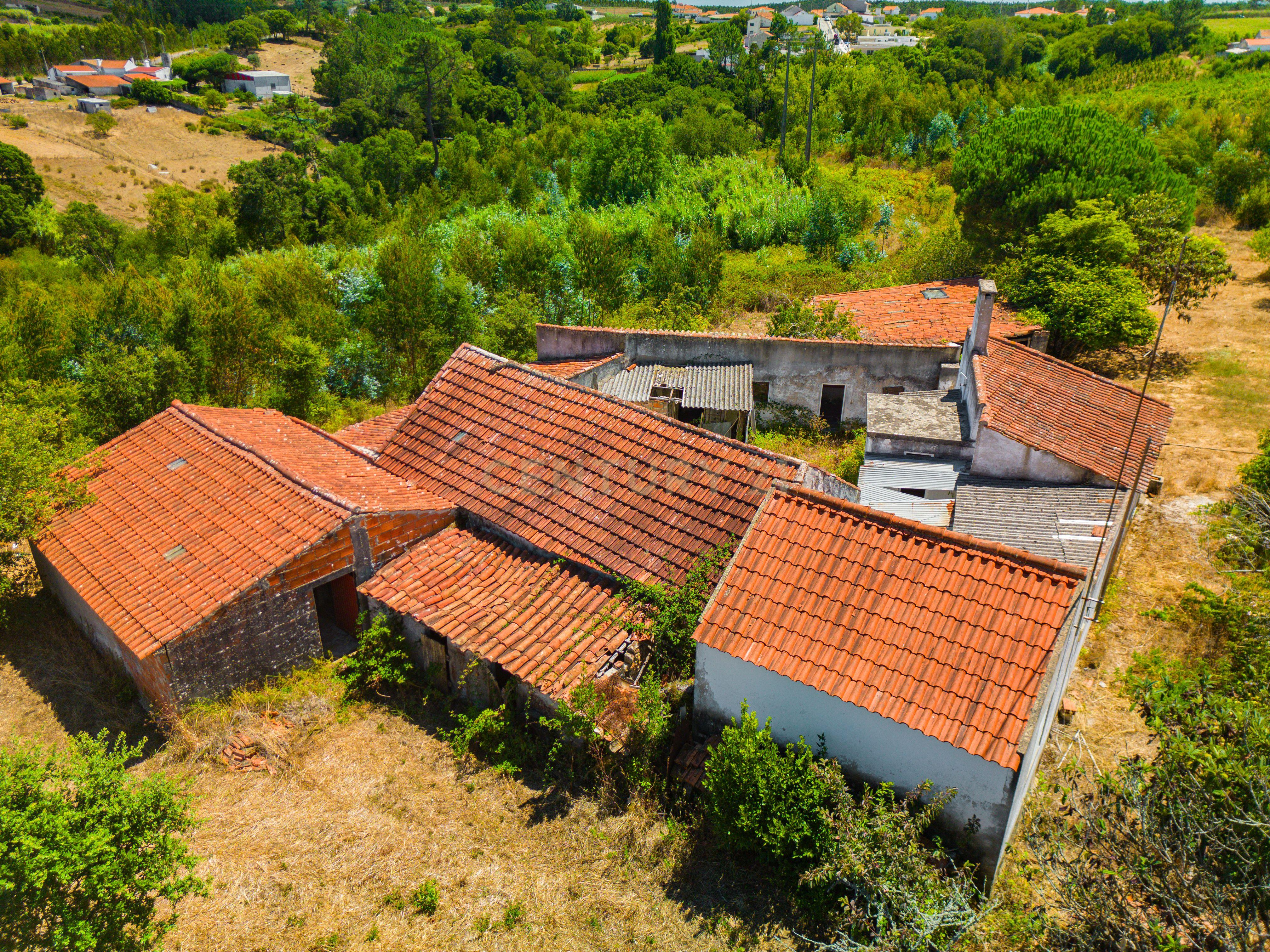 Fotografia 6 de Moradia com terreno | Lagoa Parceira | Caldas da Rainha