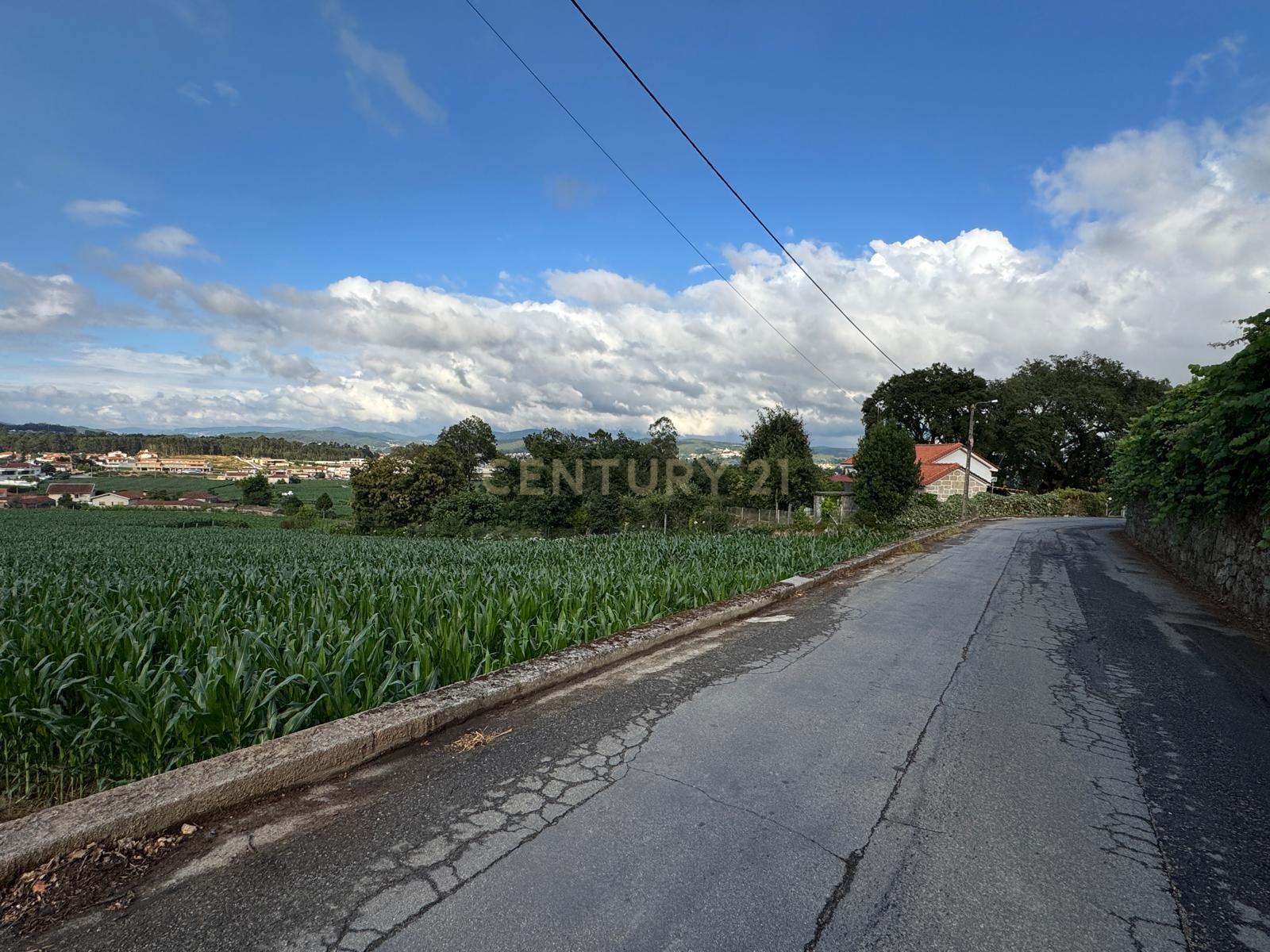 Fotografia 4 de Terreno Rústico com 10.000 m² em Monte de Fralães – Barcelos
