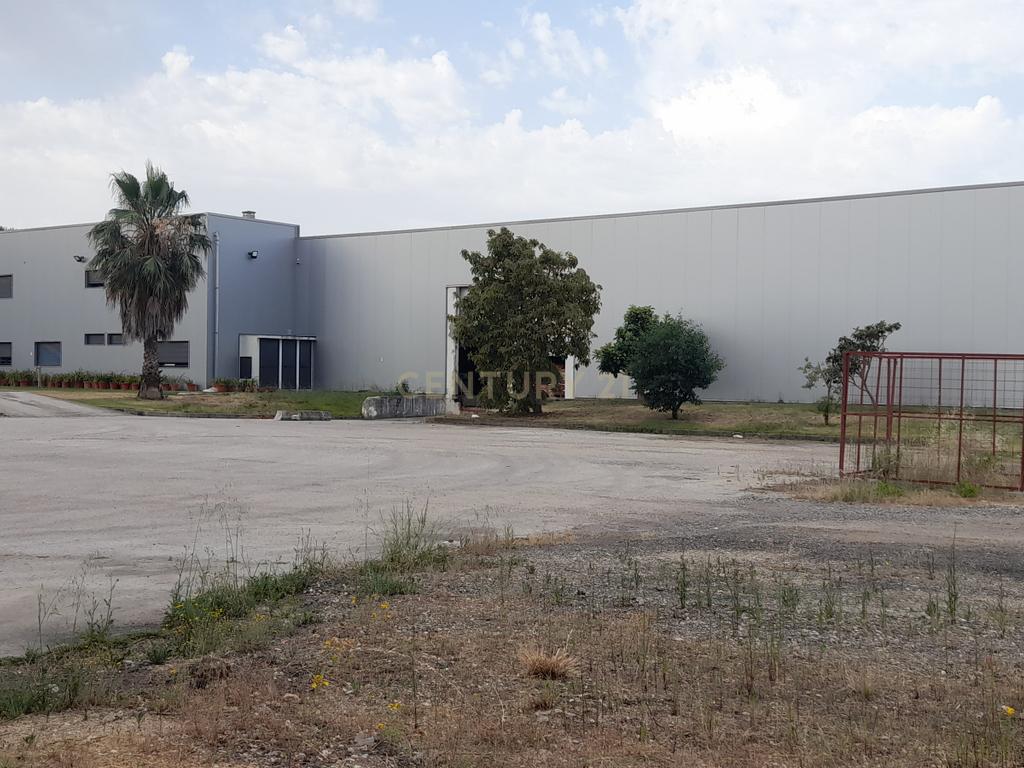 Armazém industrial equipado em Pegões, Montijo. - Image 1