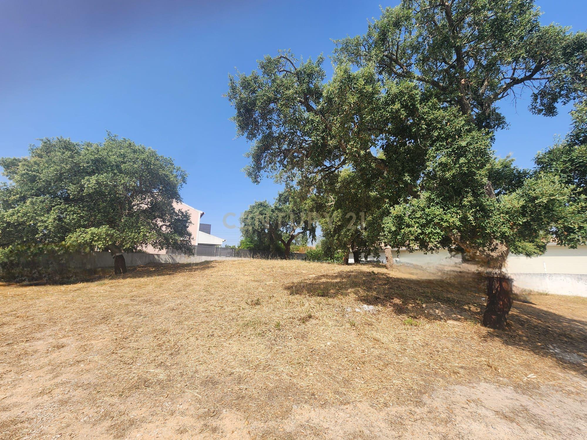 Fotografia 7 de Lote de gaveto na Rua dos Eucaliptos - Quinta da Serralheira, Setúbal