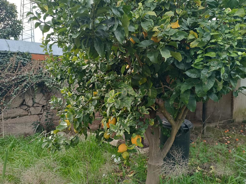 Moradia bifamiliar com cinco quartos, terreno e água para reconstrução no coração da Cidade da Maia, em Gueifaes - Image 50