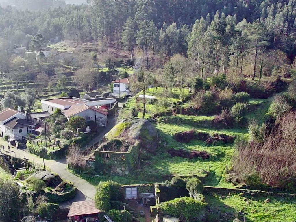 Quinta e Herdade Povoa de Lanhoso (Aceita se propostas) - Image 5