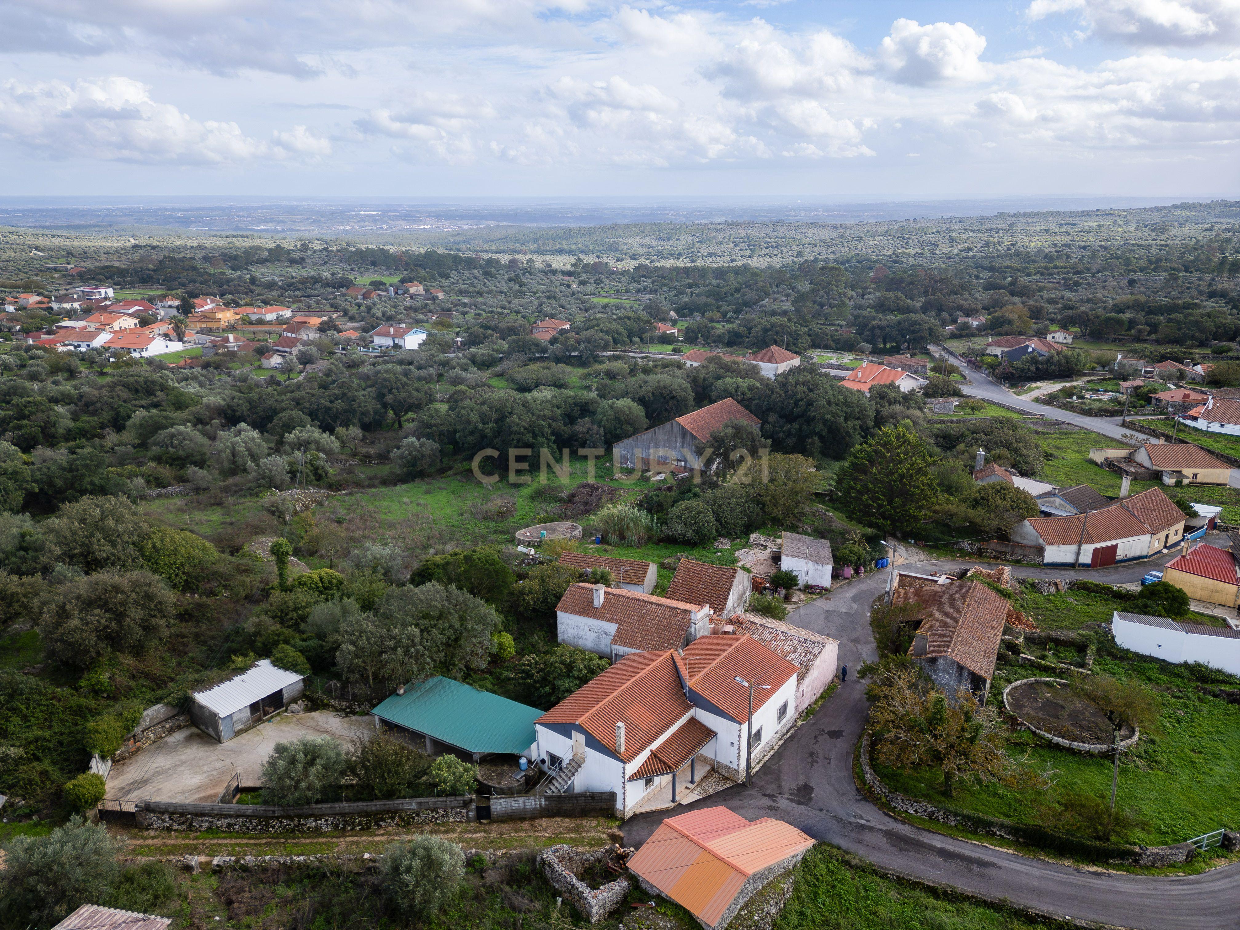 Fotografia 4 de Casinha de pedra em Serra de Santo António