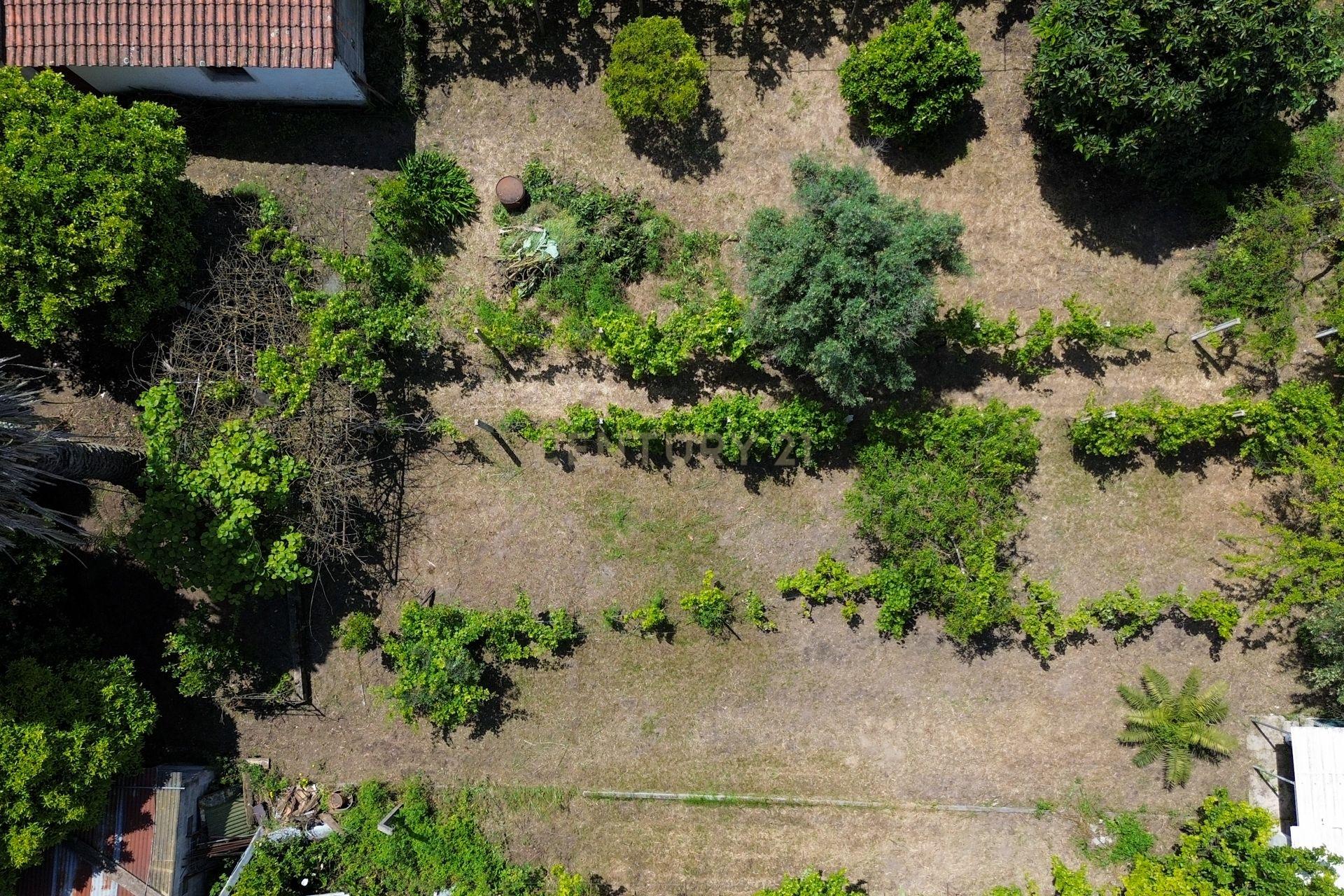 Moradia T3 com Jardim e Garagem em Santarém, Abrantes - Em Sistema de propostas Múltiplas - Image 7