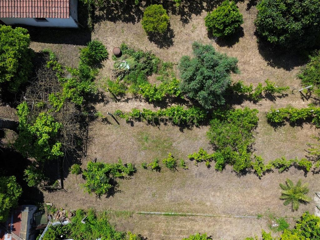 Moradia T3 com Jardim e Garagem em Santarém, Abrantes - Image 7