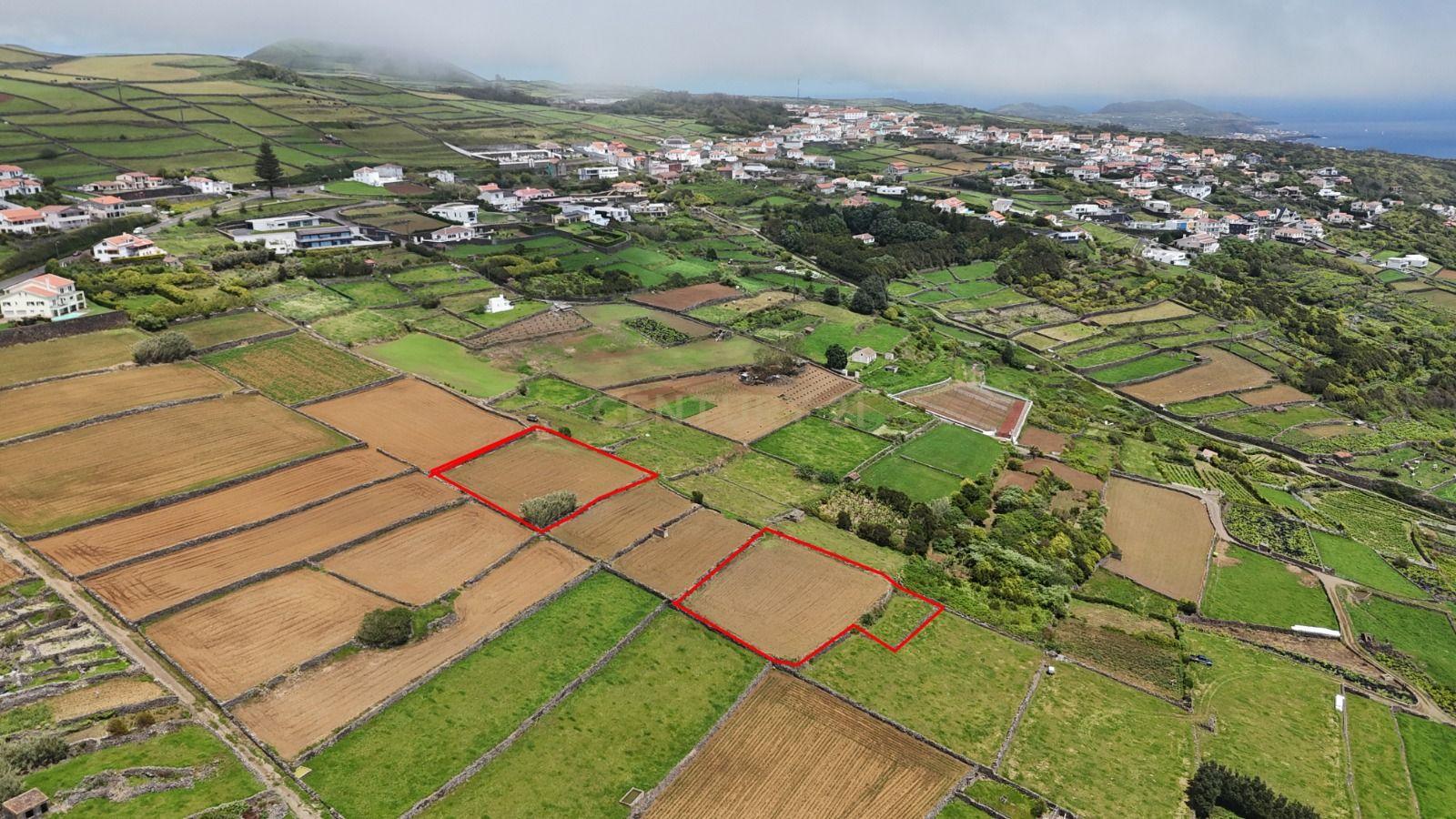 Fotografia 6 de Terrenos agrícolas  na zona da Ladeira Grande – Ribeirinha, Ilha Terceira.