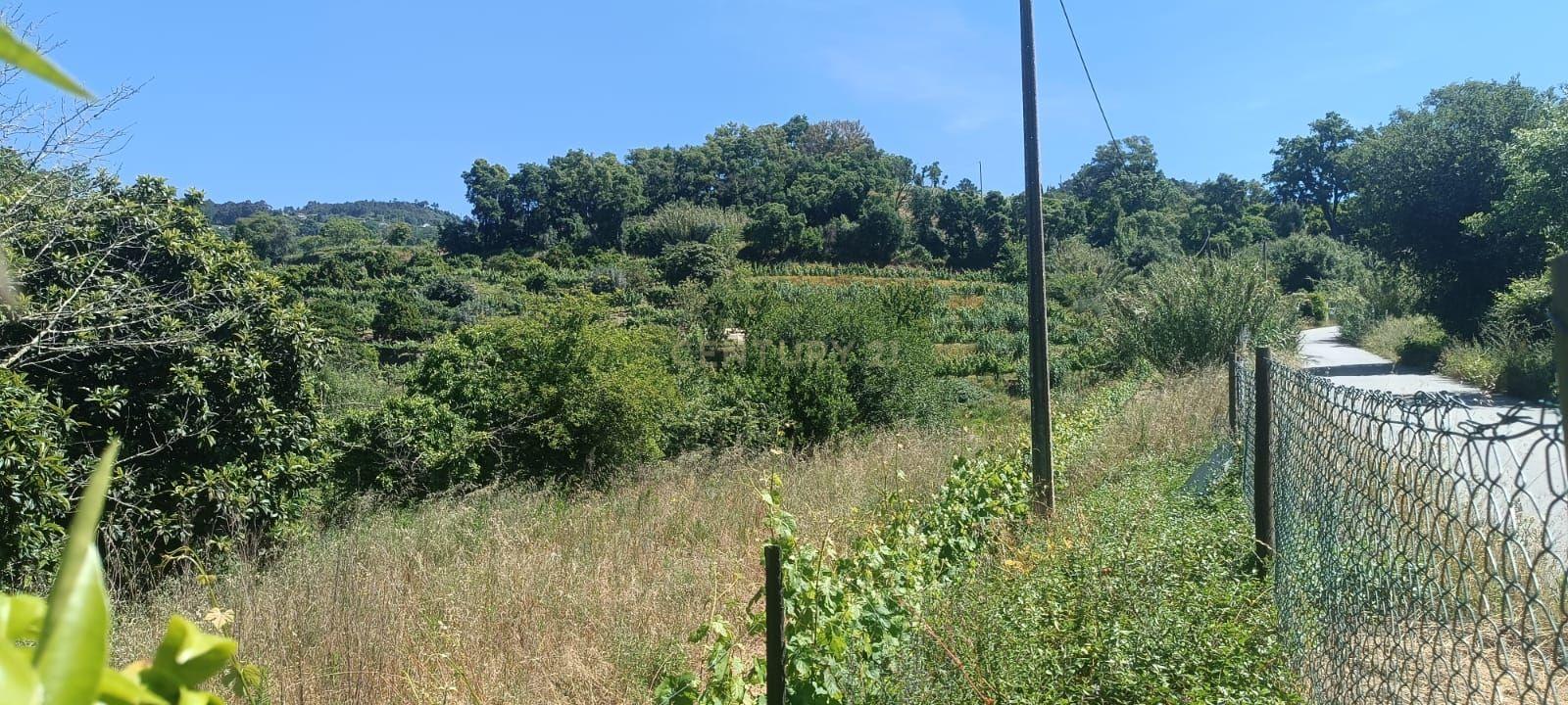 Terreno agrícola com àgua e viabilidade de construção em Granja, S. Tomé de Covelas, Baião, perto do do rio Douro, Porto - Image 47