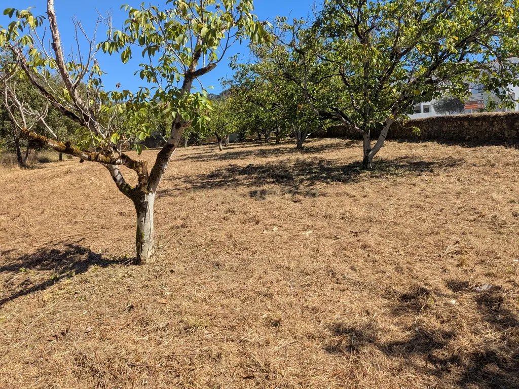 Terreno Viabilidade Construção em Espinhal, Penela – Excelente Oportunidade de Investimento - Image 13