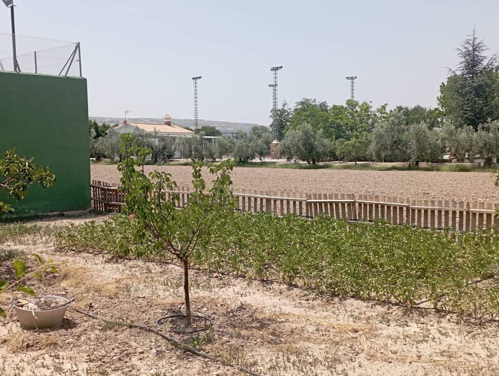 Espetacular Moradia com Jardim e Piscina em Granada, Andalucía - Image 16