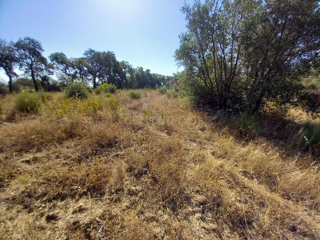 Terreno com 2180m2 , São Vicente da Beira, Castelo Branco - Image 2