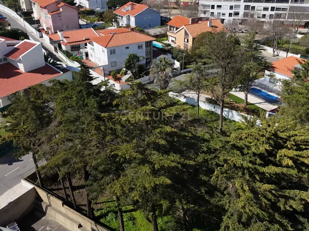 TERRENO OEIRAS COM PROJECTO APROVADO | ZONA PRIVILEGIADA - Image 22