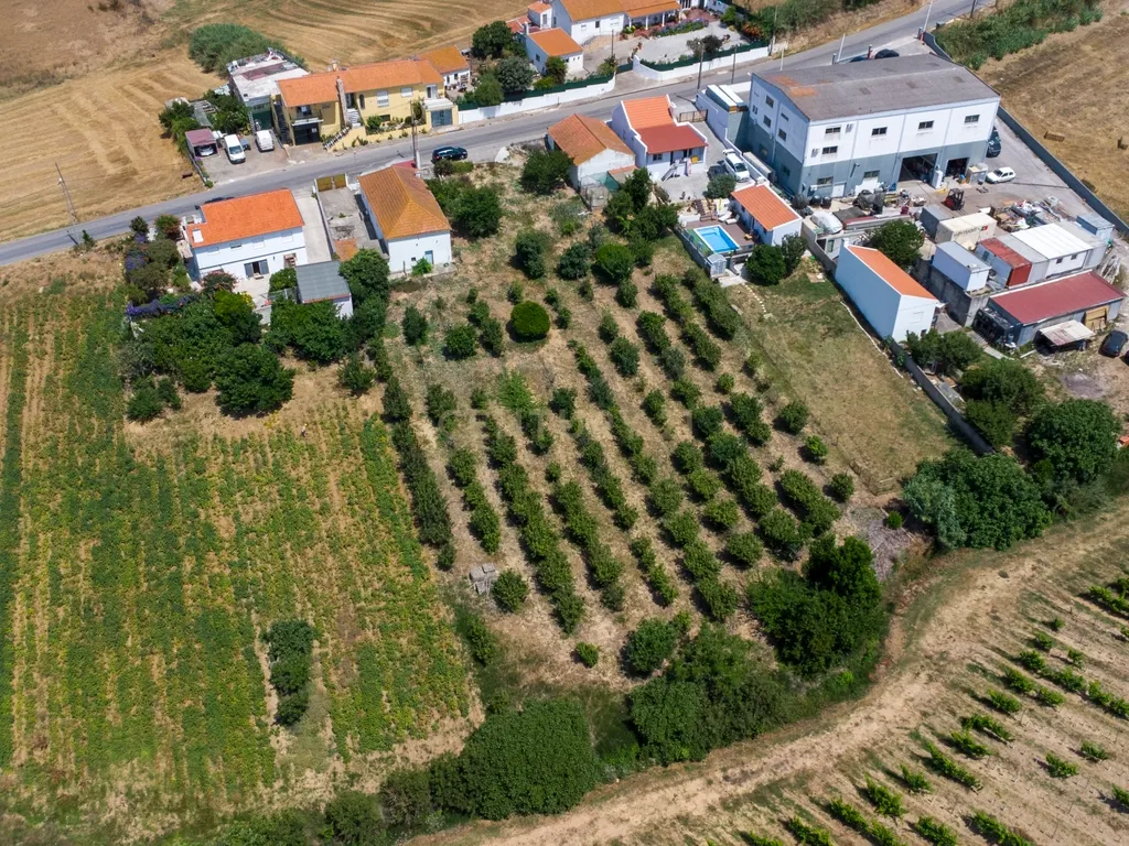 Pequena Quinta em Bonabal – Ventosa, Torres Vedras - Image 10