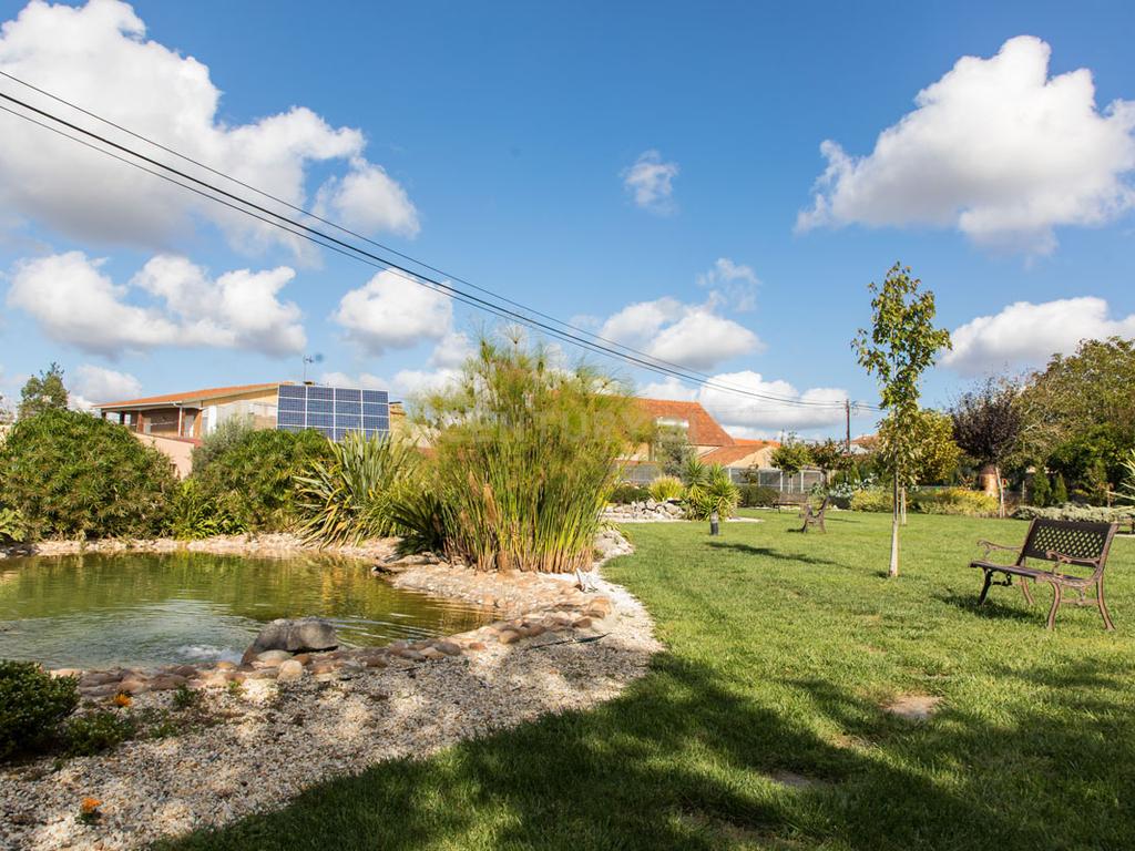 Propriedade T8 com Jardins, Lago e Potencial Alojamento - Localização Premium - Image 60