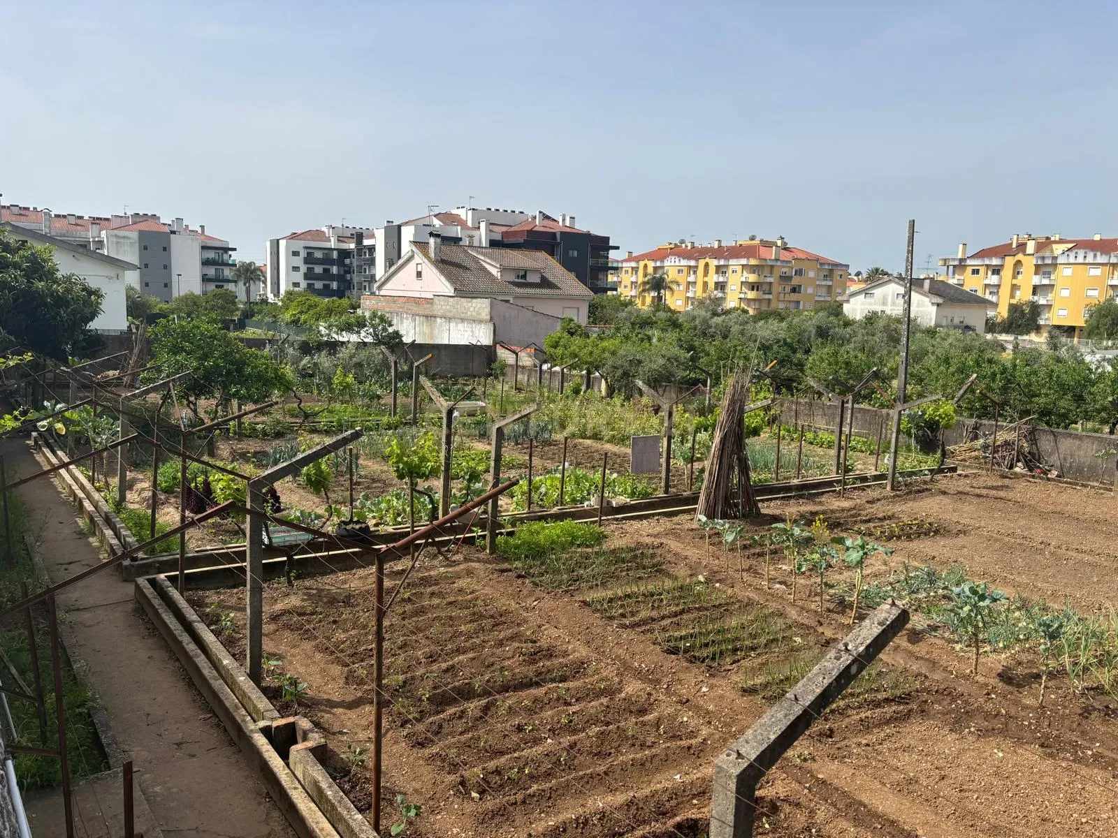 Fotografia 4 de Terreno para Construção em Altura – Entroncamento