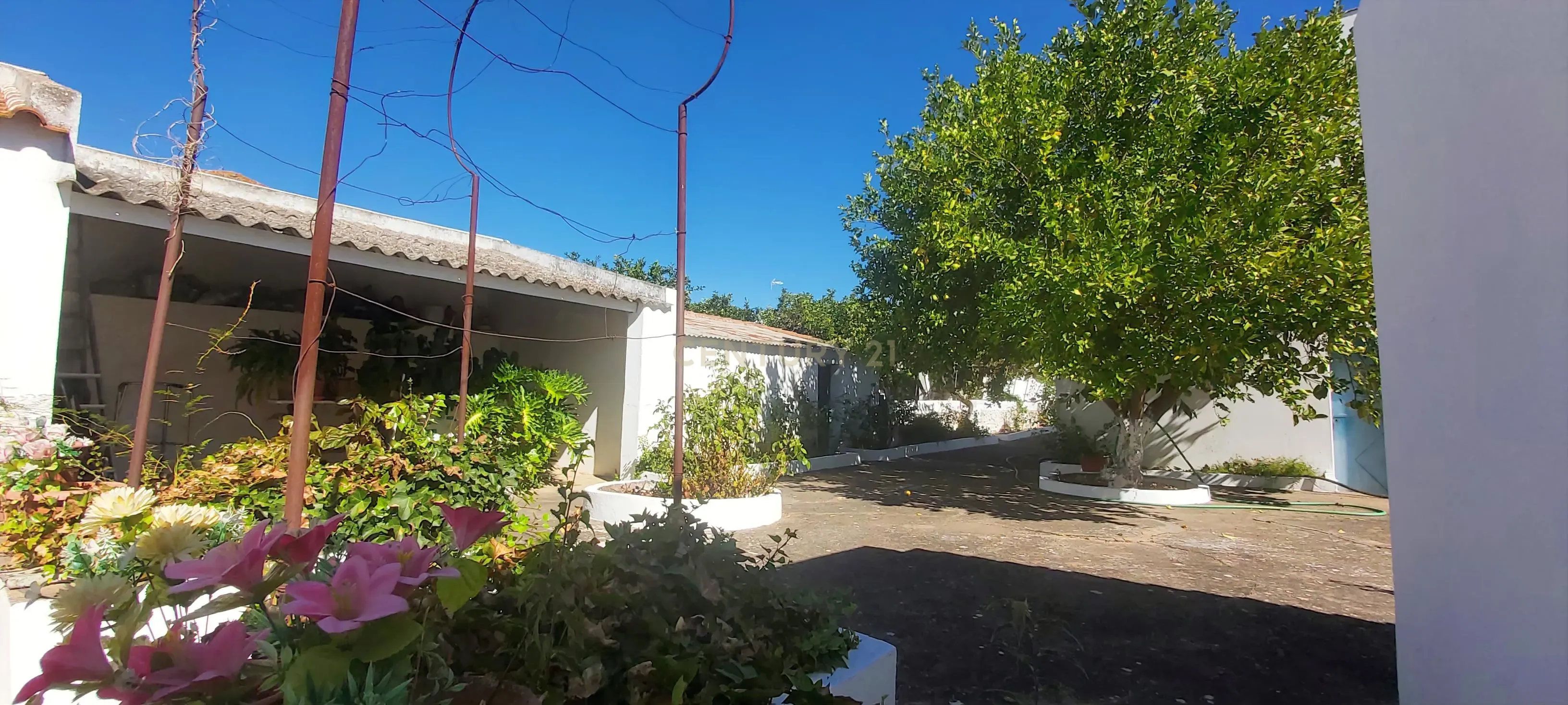 Moradia T4 à venda em Santa Vitória e Mombeja, Beja — foto 30