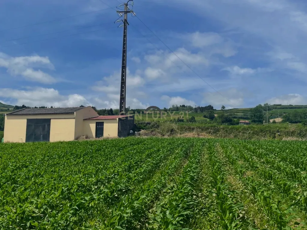 Terreno Agrícola com Armazém e Vista Mar — Um Refúgio Natural na Ribeira das Tainhas!  - Image 6