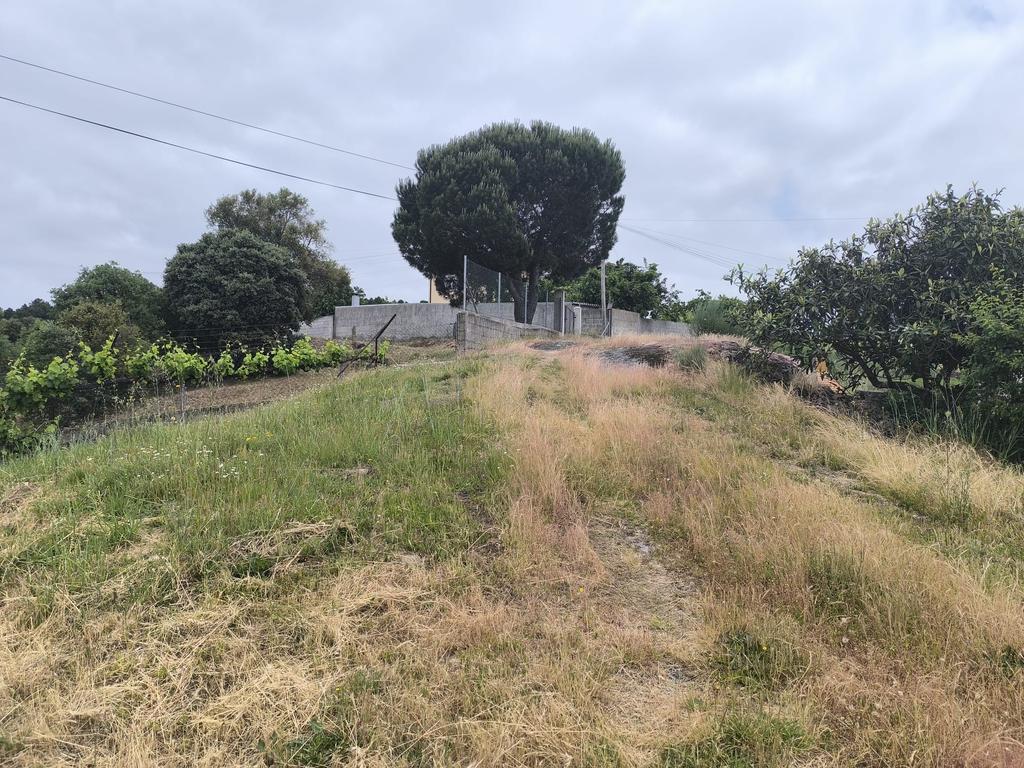 Casas prontas a habitar com terreno, arvores de fruto, forno e água própria. - Image 41