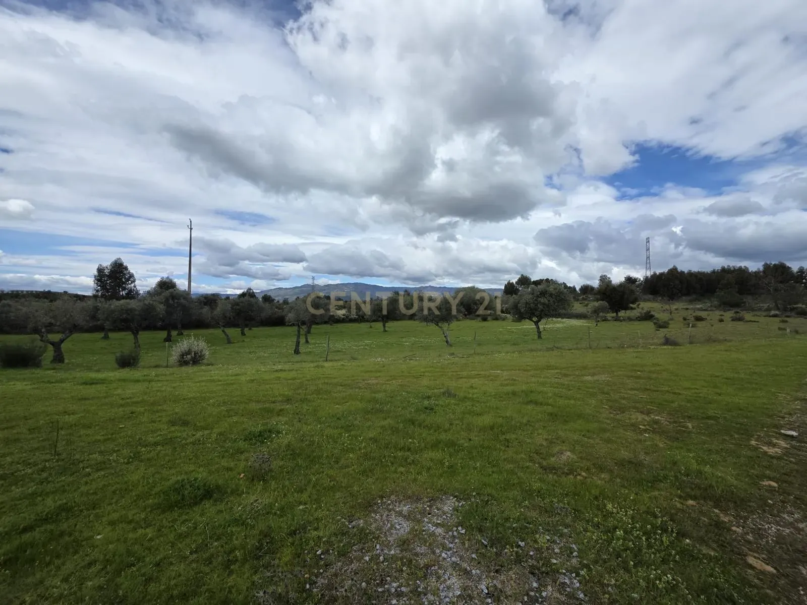 Fantástica Quinta 32ha, Atalaia do Campo, Fundão - Image 16