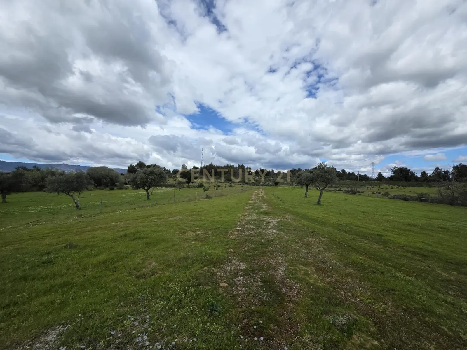 Fantástica Quinta 32ha, Atalaia do Campo, Fundão - Image 18