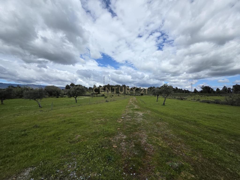 Fantástica Quinta 32ha, Atalaia do Campo, Fundão - Image 18