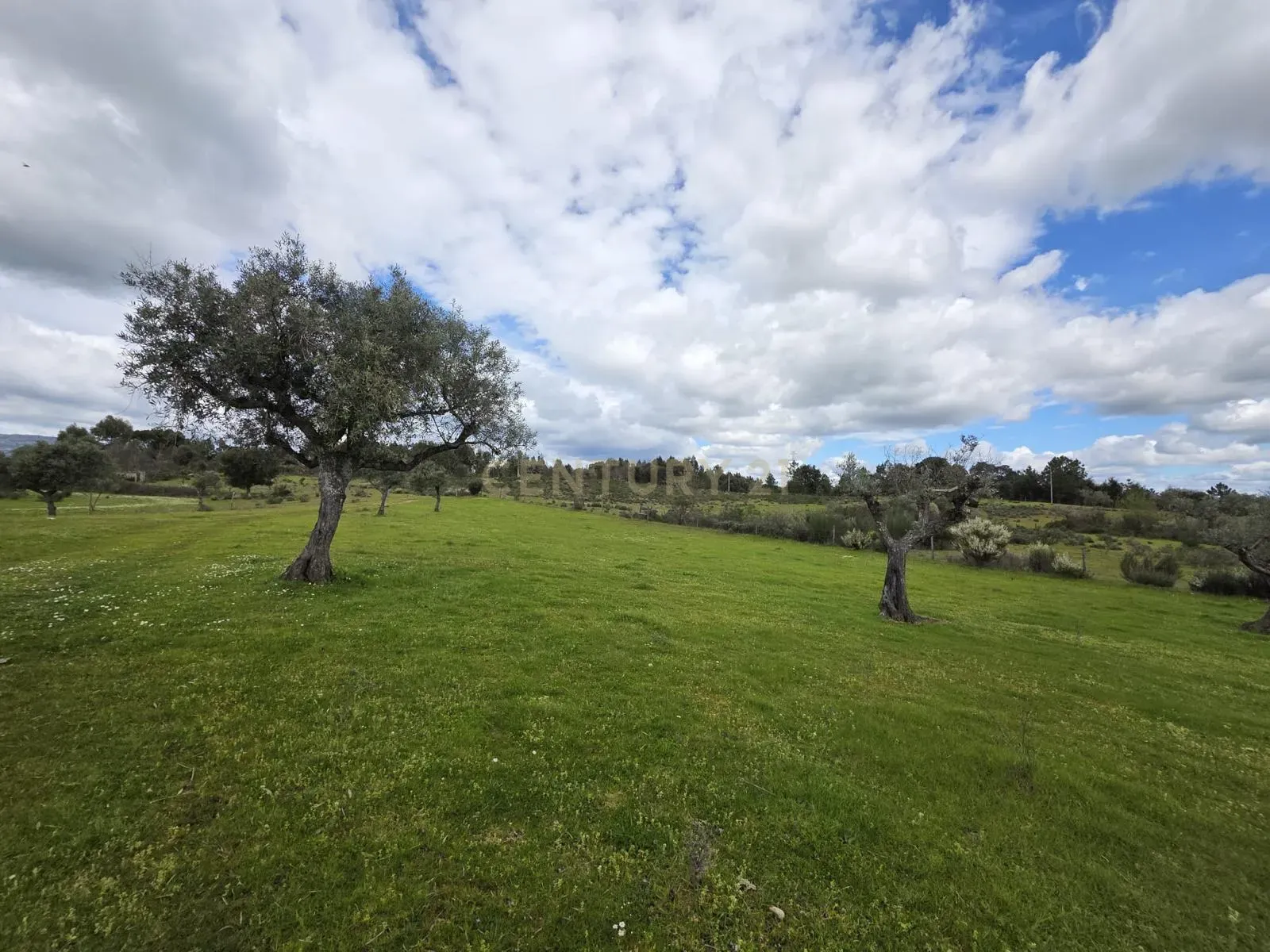 Fantástica Quinta 32ha, Atalaia do Campo, Fundão - Image 17
