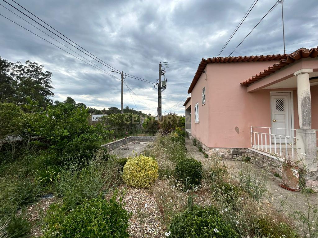 Quinta T3 em São Lourenço - Tomar - Image 4