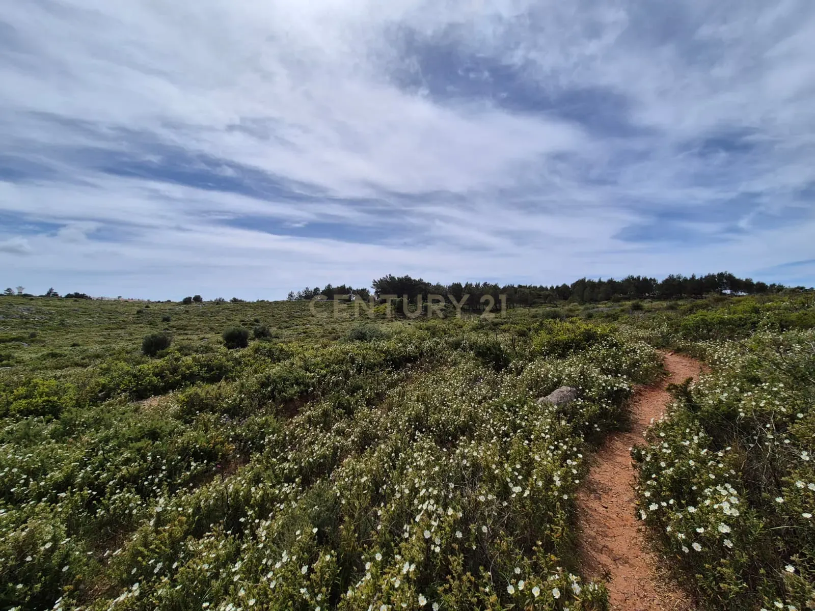 Fotografia 5 de Terreno Rústico com 20.000 m² em Murches, Cascais – Vista Serra de Sintra e Potencial Construção