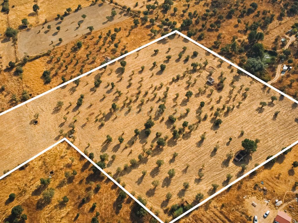 Propriedade rústica com potencial agrícola, habitacional e turístico – 3,12 hectares – Nisa - Image 11