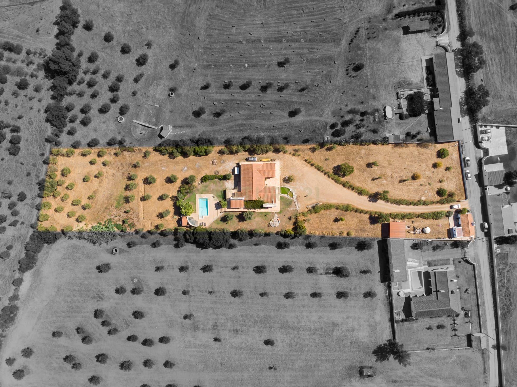 Quinta em São Cristóvão (a 15 min de Alcácer do Sal), com duas moradias inseridas num lote de 8.000 m² - Image 4