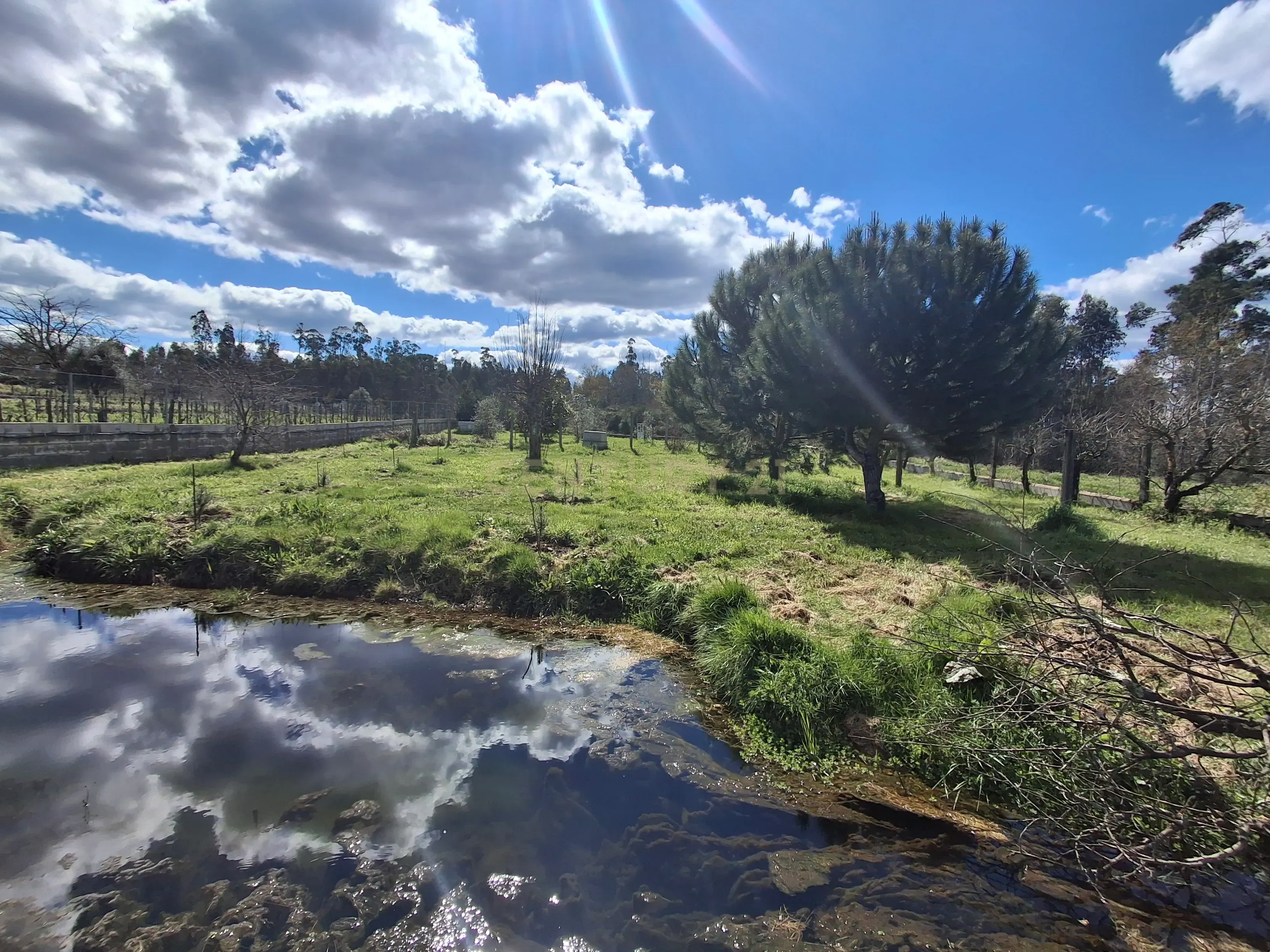 Quinta em Ribeira, Campo de Besteiros, Tondela. - Image 30