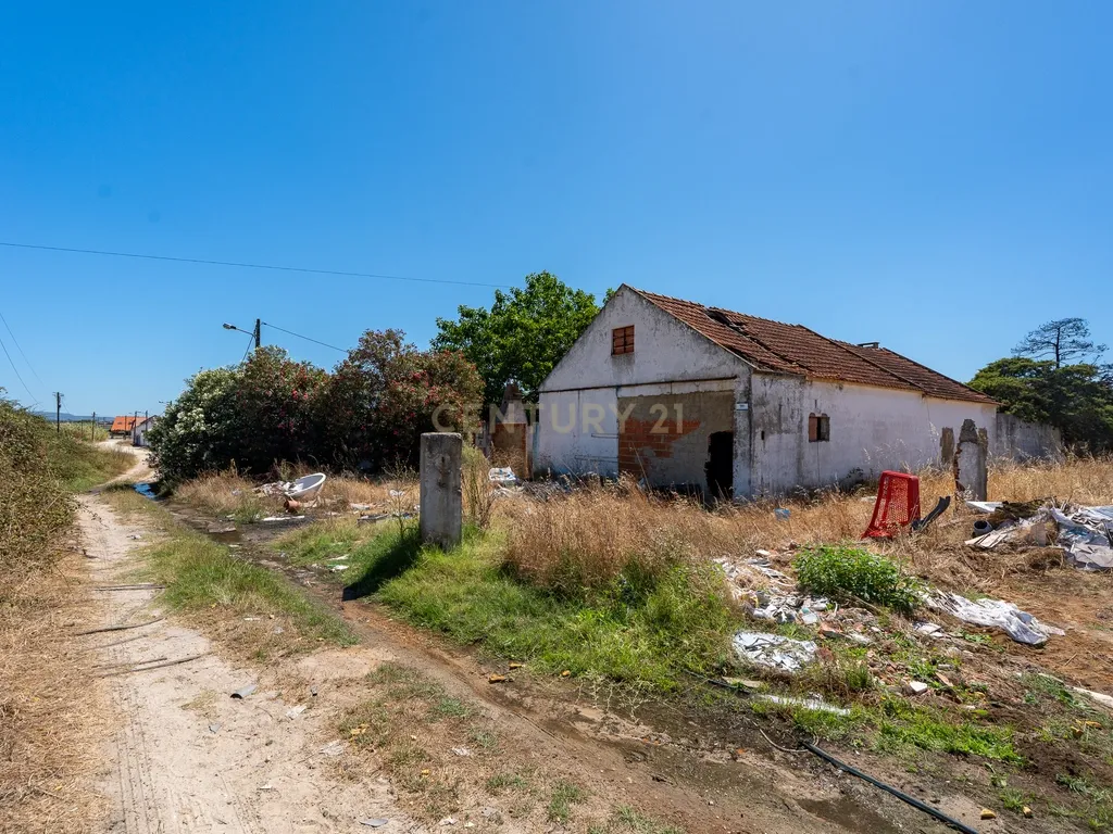 💥 Terreno Rústico com 10.105 m² em Zona Industrial – Montijo - Excelente Investimento! 💥 - Image 3