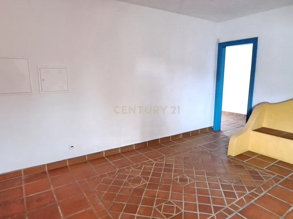 Terreno Rustico 5250m2 com moradia não licenciada Pegões Claros - Image 9