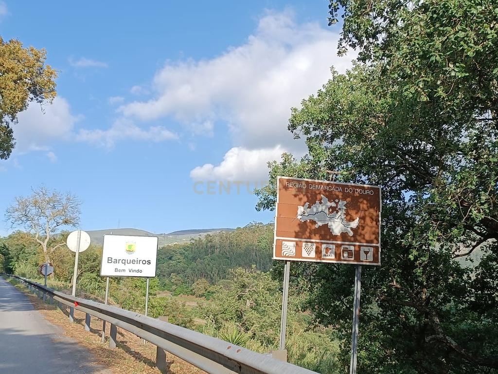Terreno florestal com vista para a praia fluvial de Porto de Rei em Barqueiros, Mesão Frio às portas do Douro - Image 22