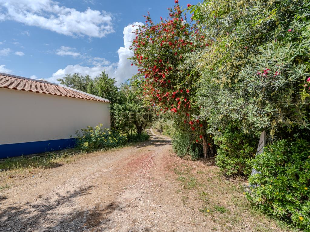 Quinta T3+3 com 4 HA em Borba – Natureza, Produção Agrícola e Conforto - Image 17