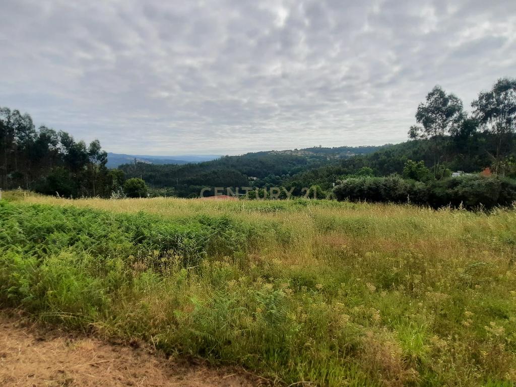 Casa moderna T3  e terreno rústico perto de Oliveira de Frades e Vouzela, preço total 125.000.00 euros! - Image 22