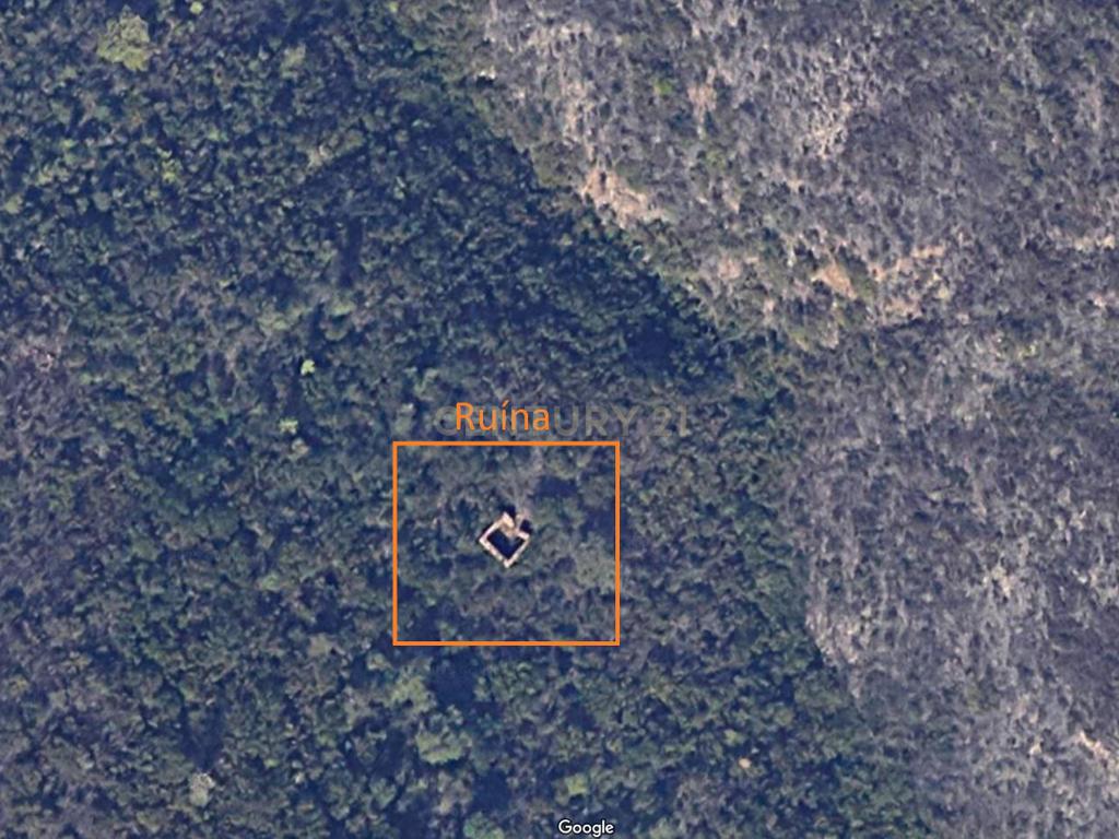 Terreno Rústico com Ruína em Aljezur – 26,88ha de Natureza Pura com Ribeira - Image 4